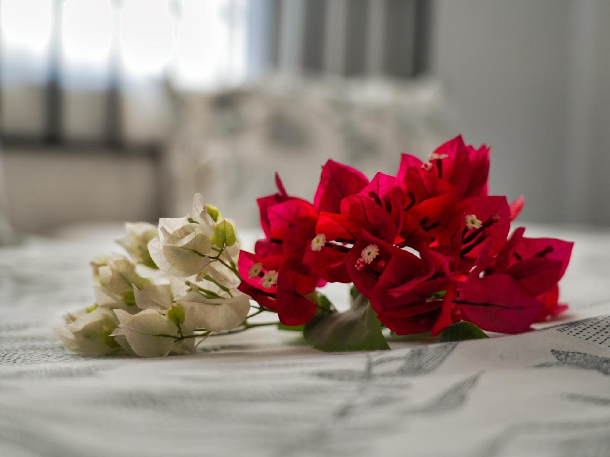 Golentle Home Stay Маун Номер фото